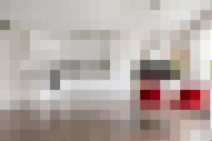 Snelliuskade 6 Utrecht thumbnail 10