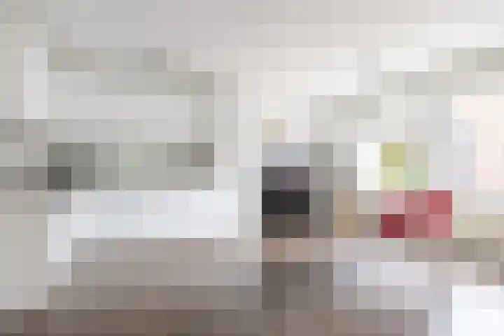 Snelliuskade 6 Utrecht thumbnail 11