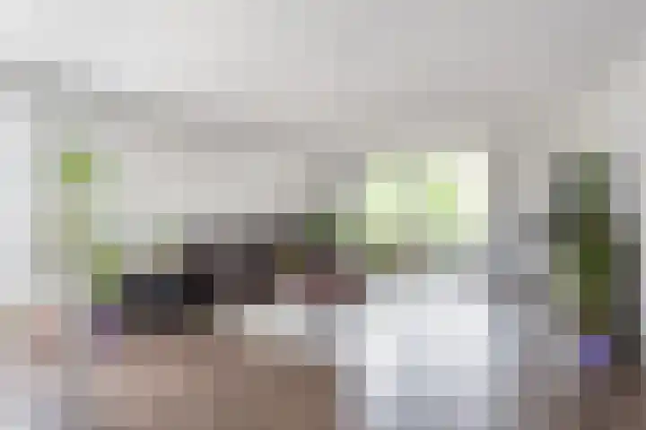 Snelliuskade 6 Utrecht thumbnail 15
