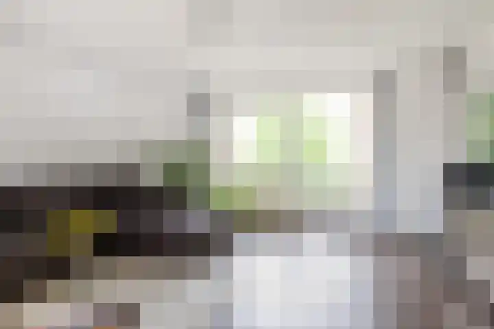 Snelliuskade 6 Utrecht thumbnail 17
