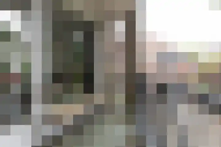 Snelliuskade 6 Utrecht thumbnail 20