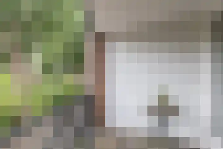 Snelliuskade 6 Utrecht thumbnail 21