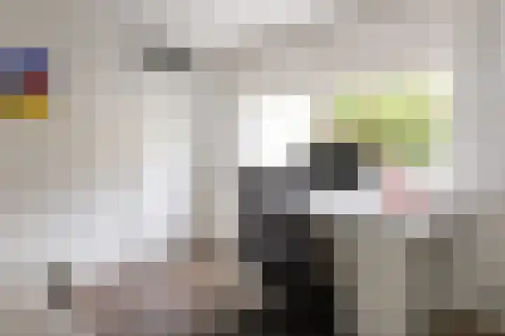 Snelliuskade 6 Utrecht thumbnail 25