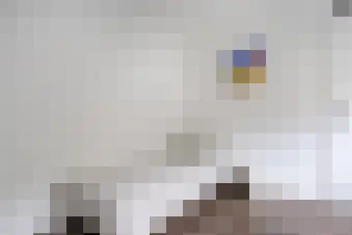 Snelliuskade 6 Utrecht thumbnail 26