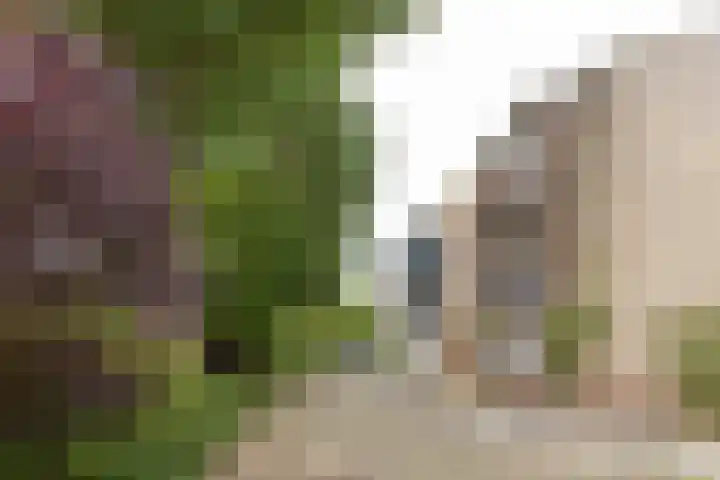 Snelliuskade 6 Utrecht thumbnail 31