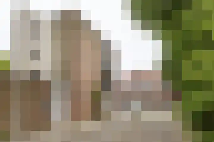 Snelliuskade 6 Utrecht thumbnail 32