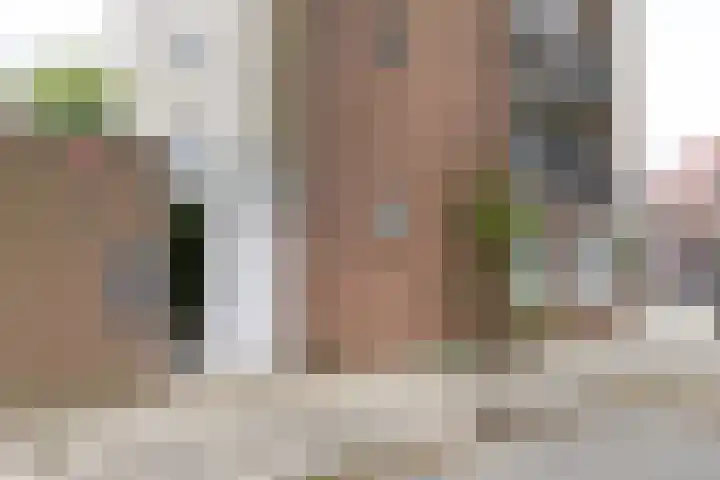 Snelliuskade 6 Utrecht thumbnail 5