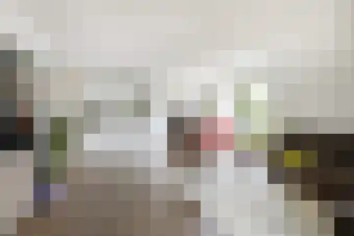 Snelliuskade 6 Utrecht thumbnail 7