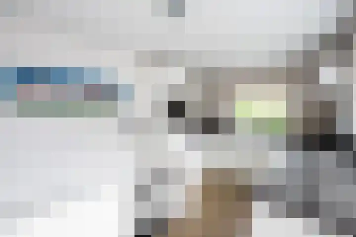 Snelliuslaan 10 Zwolle thumbnail 10