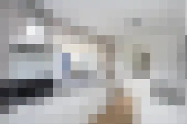 Snelliuslaan 10 Zwolle thumbnail 12