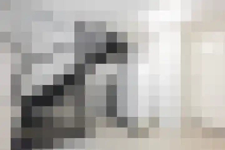 Snelliuslaan 10 Zwolle thumbnail 13