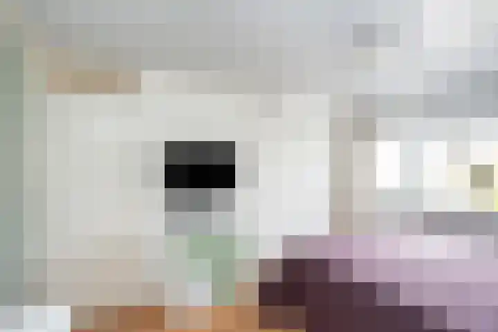 Snelliuslaan 10 Zwolle thumbnail 18