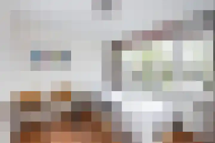 Snelliuslaan 10 Zwolle thumbnail 21