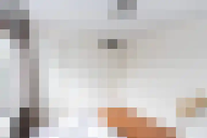 Snelliuslaan 10 Zwolle thumbnail 22