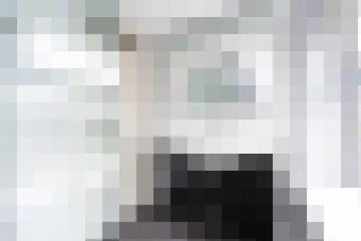 Snelliuslaan 10 Zwolle thumbnail 24
