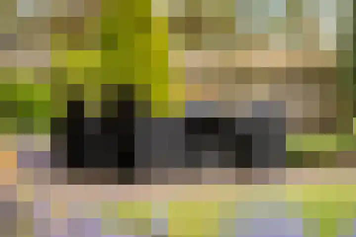 Snelliuslaan 10 Zwolle thumbnail 29
