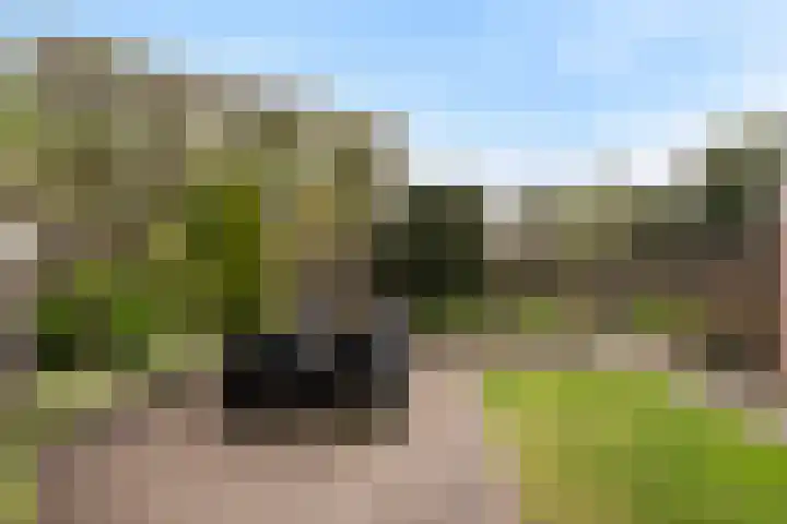 Snelliuslaan 10 Zwolle thumbnail 30
