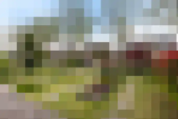 Snelliuslaan 10 Zwolle thumbnail 31