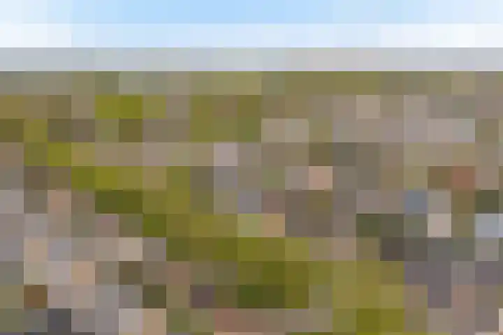 Snelliuslaan 10 Zwolle thumbnail 33