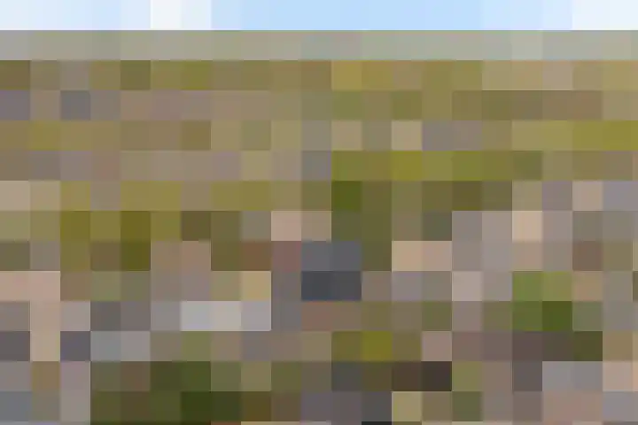Snelliuslaan 10 Zwolle thumbnail 34