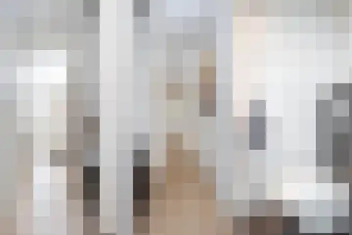 Snelliuslaan 10 Zwolle thumbnail 4