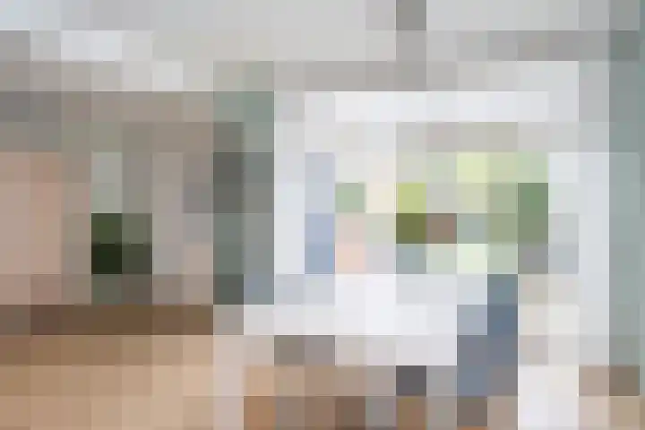 Snelliuslaan 10 Zwolle thumbnail 8