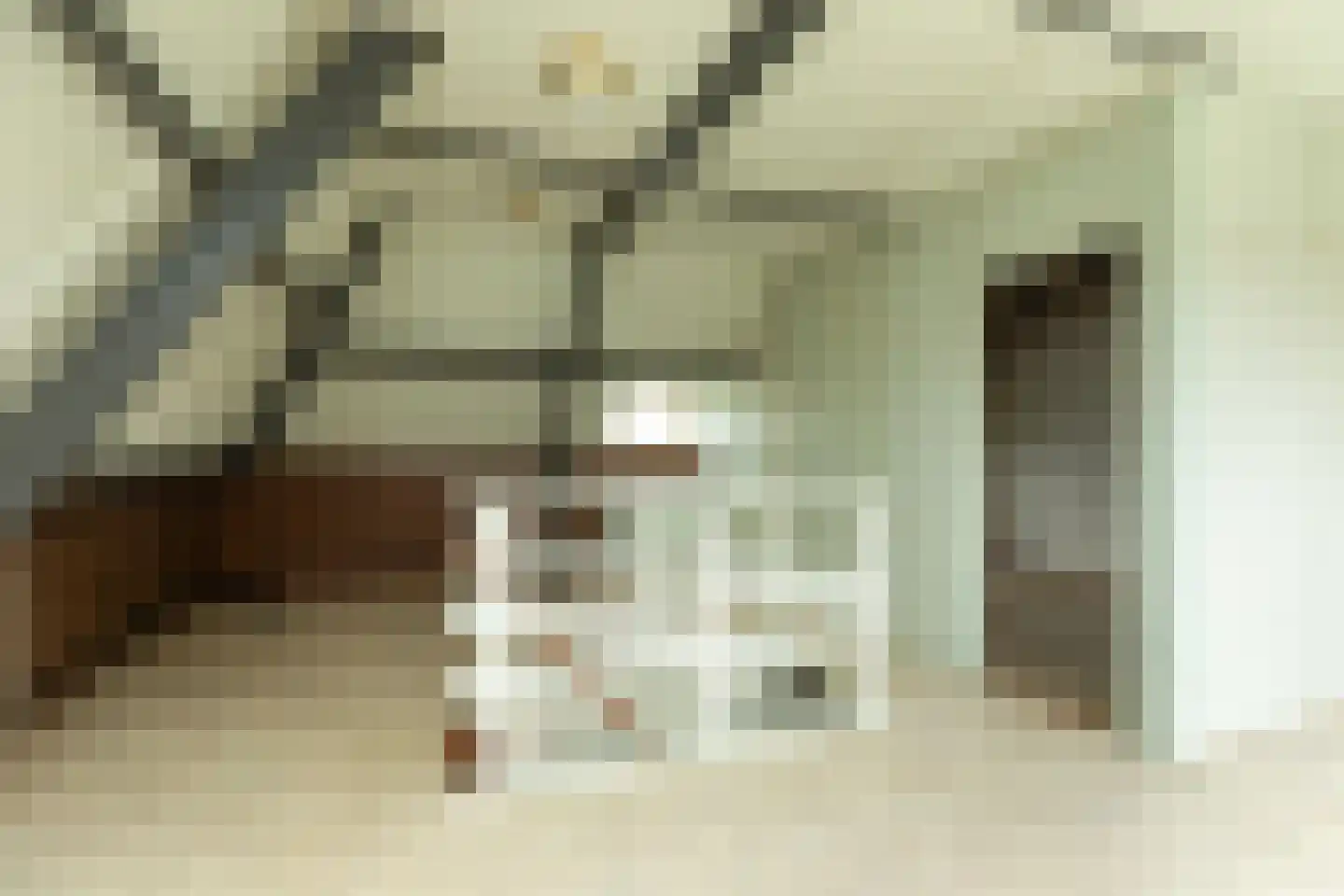 Snelliuslaan 13 Hilversum thumbnail 23