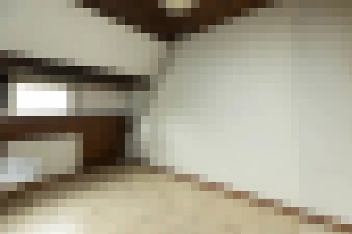 Snelliuslaan 13 Hilversum thumbnail 24