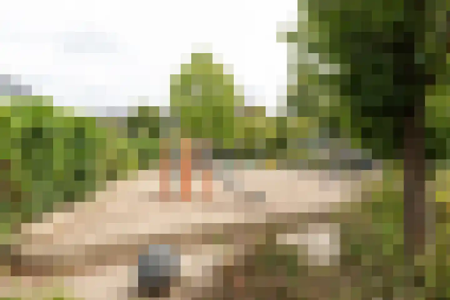 Snelliuslaan 13 Hilversum thumbnail 33