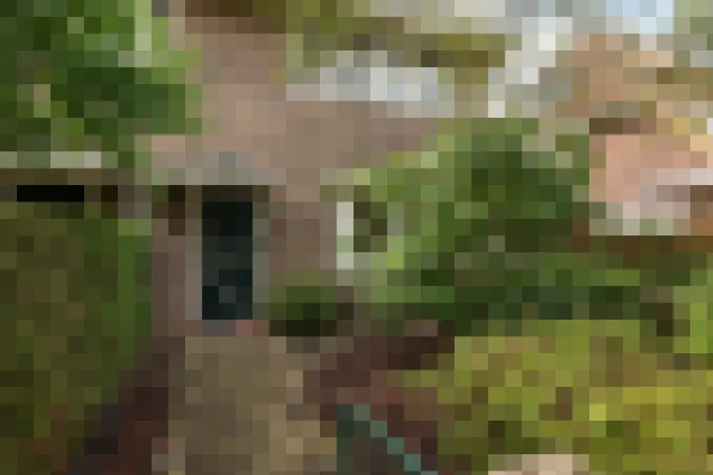 Snelliuslaan 13 Hilversum thumbnail 4