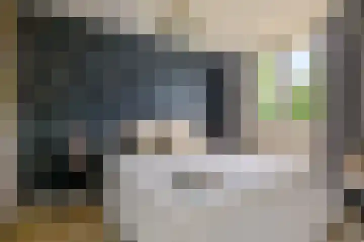 Snelliuslaan 36 Amstelveen thumbnail 12