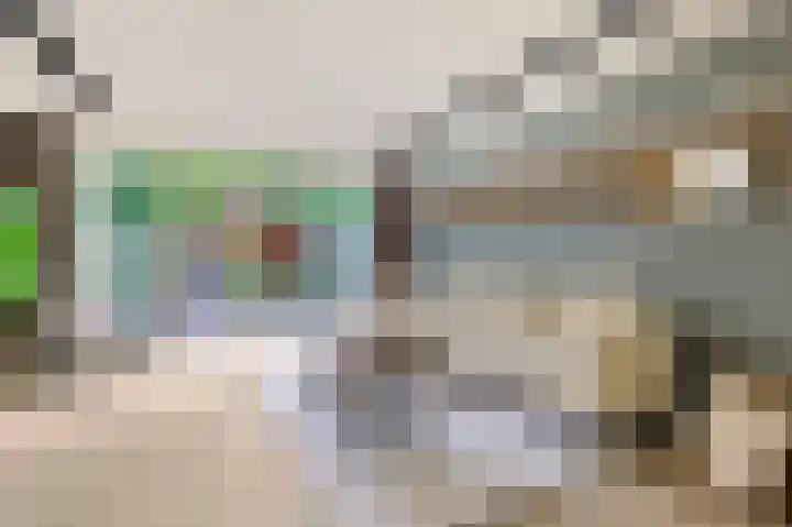 Snelliuslaan 36 Amstelveen thumbnail 4
