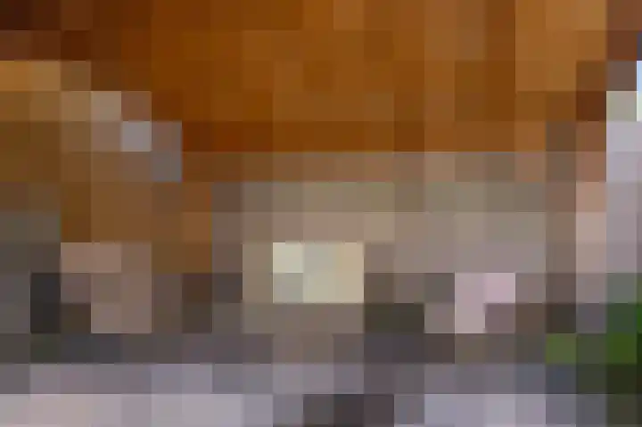 Snelliuslaan 36 Amstelveen thumbnail 6