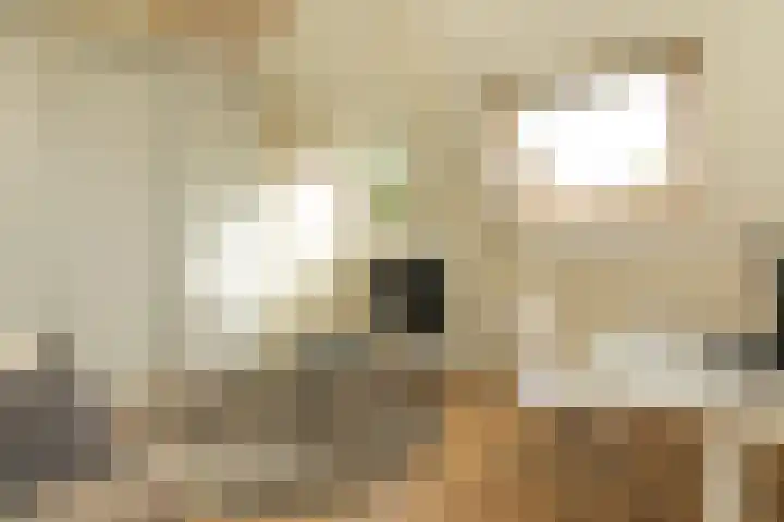 Snelliuslaan 37 Hilversum thumbnail 25