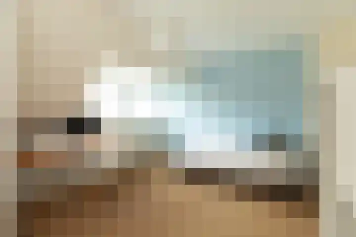 Snelliuslaan 37 Hilversum thumbnail 27