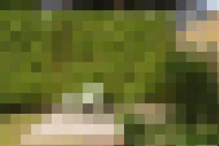 Snelliuslaan 37 Hilversum thumbnail 31