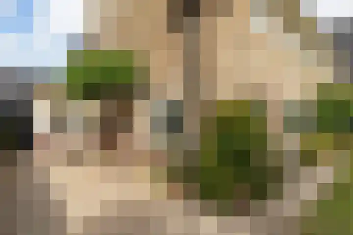 Snelliuslaan 37 Hilversum thumbnail 32