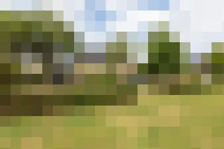 Snelliuslaan 37 Hilversum thumbnail 34