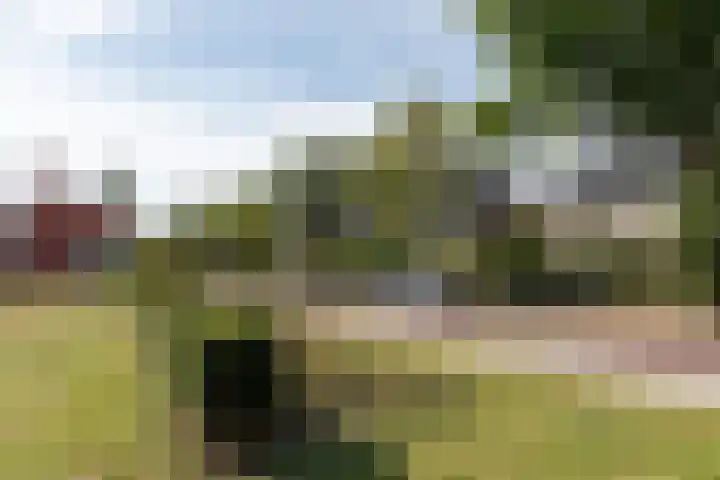 Snelliuslaan 37 Hilversum thumbnail 35