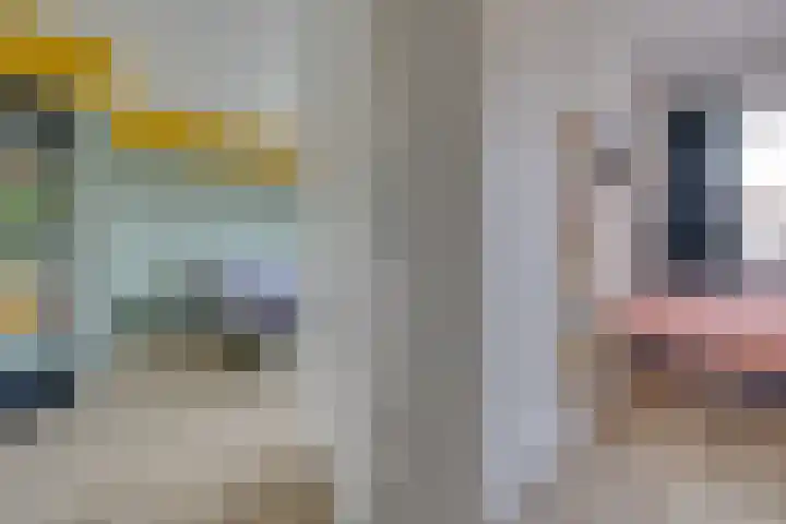 Snelliuslaan 46 Hilversum thumbnail 16