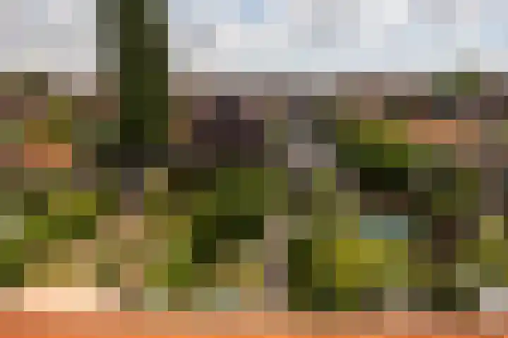 Snelliuslaan 46 Hilversum thumbnail 25
