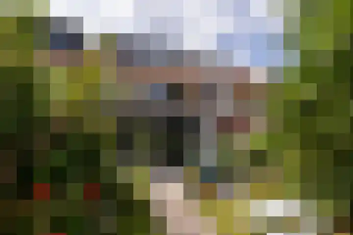 Snelliuslaan 46 Hilversum thumbnail 29