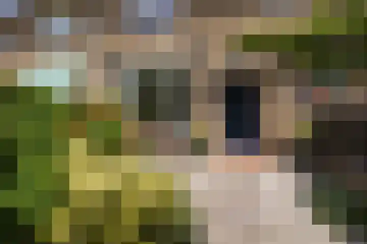 Snelliuslaan 46 Hilversum thumbnail 31