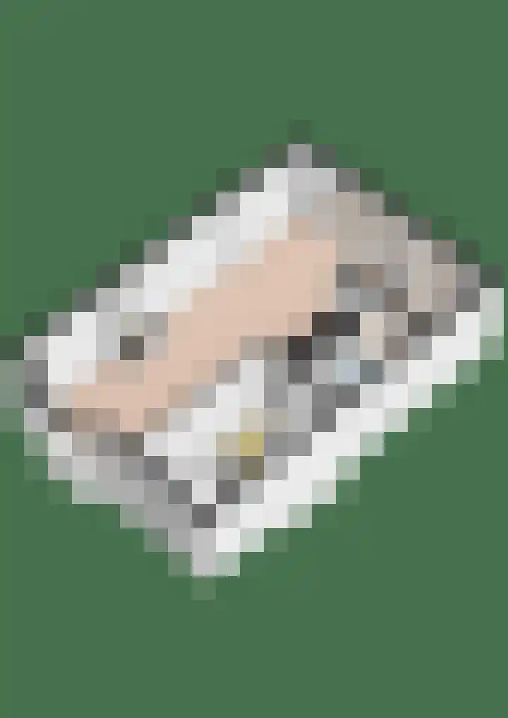 Snelliuslaan 46 Hilversum thumbnail 37