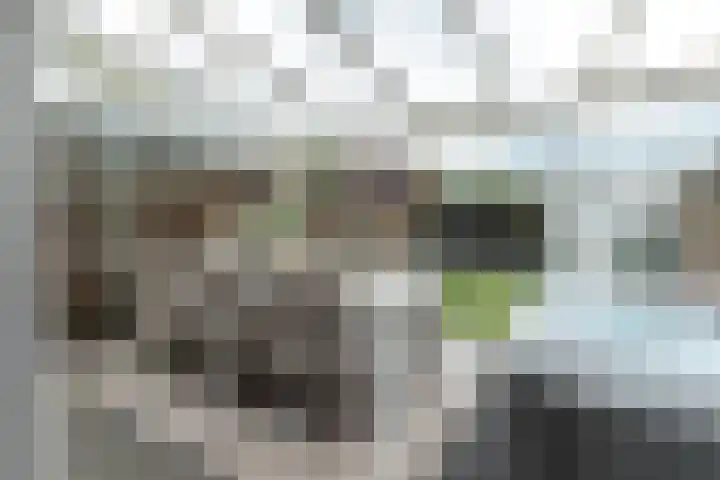 Snelliuslaan 49 Hilversum thumbnail 14