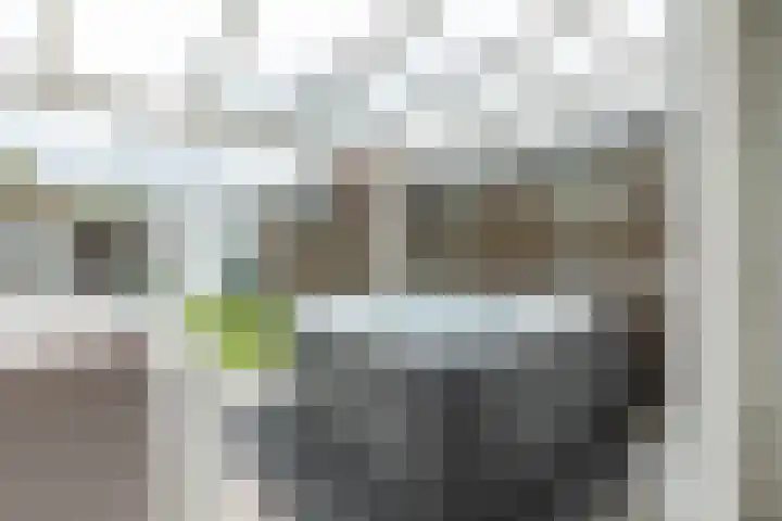 Snelliuslaan 49 Hilversum thumbnail 16