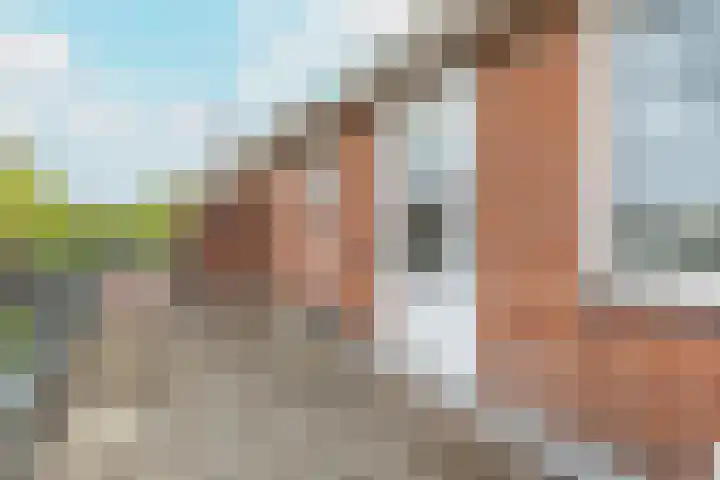 Snelliuslaan 49 Hilversum thumbnail 23