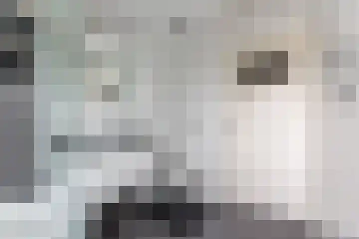 Snelliuslaan 49 Hilversum thumbnail 36