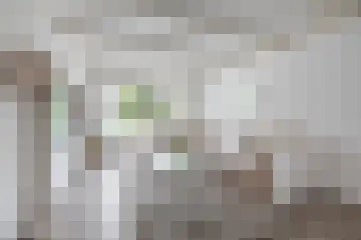 Snelliuslaan 49 Hilversum thumbnail 4