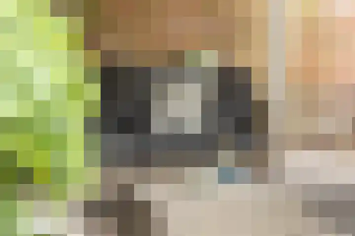 Snelliuslaan 49 Hilversum thumbnail 46